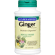 Ginger Rhizome - 