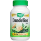 Dandelion - 