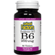 Vitamin B6 Pyridoxine HCL 250mg - 