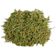 Organic Rosemary Leaf - 