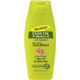 Olive Oil Formula Shampoo - 